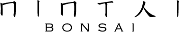 nintaibonsai.com